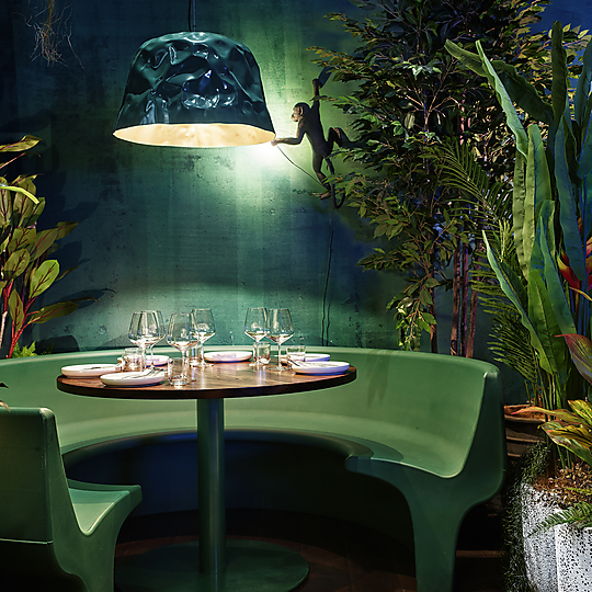 Interior photograph of PingPong Thai Restaurant by Florian Groehn